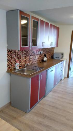 廚房, Apartmány Kukaččí hnízdo (Apartmany Kukacci hnizdo) in 霍洛莫利斯