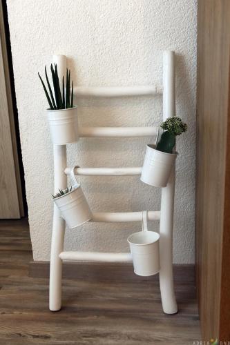 One-Bedroom Apartment image 8