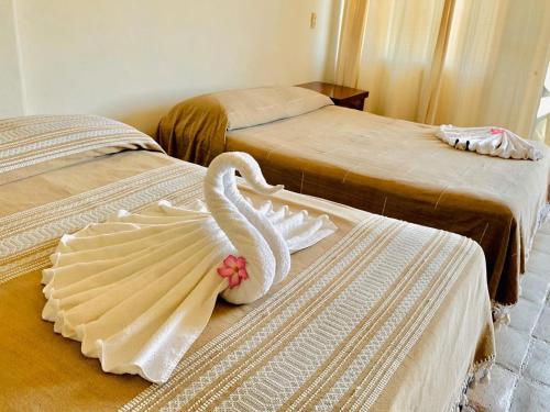 Hotel Cordelia's 1