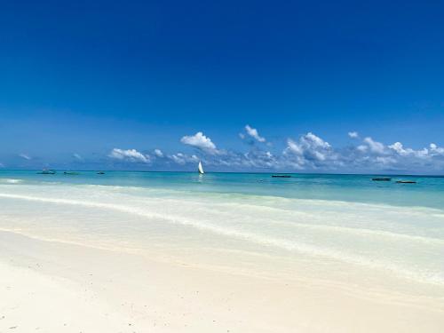 Ocean Blue Apartment with Panoramic Pool ZanzibarHouses