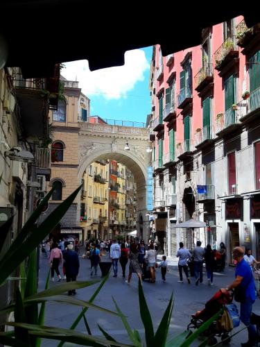 Surrounding environment, Hotel Residence Aparthotel Plebiscito in Plebiscito