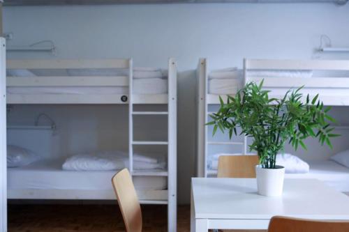 C - Punkt Hostel, Ljubljana