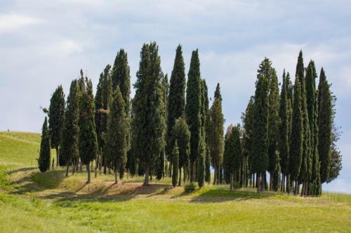 Agriturismo La Poderina