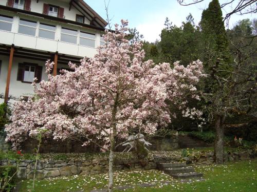 Hotel Beatus - image 2