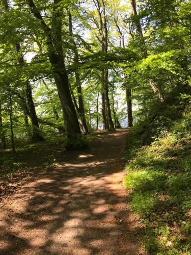 Raben Steinfeld Forststrasse Am Residence-Park