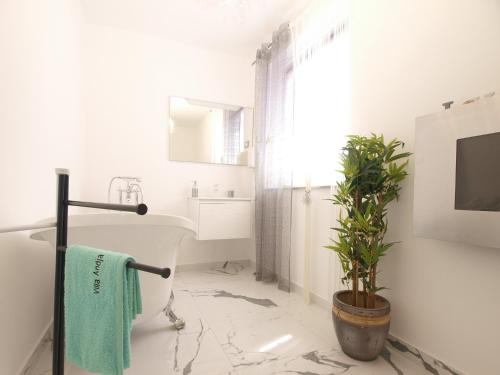 House Vesna 1479 - image 5