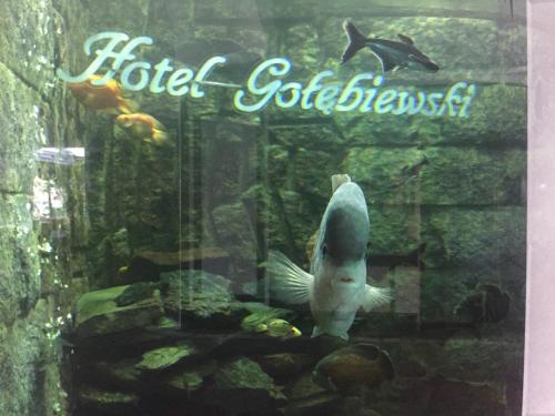 Hotel Gołębiewski Białystok - image 7