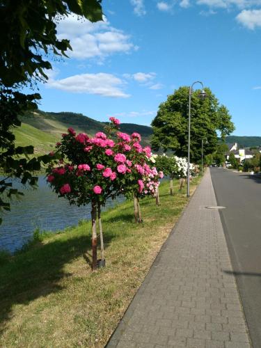 Ferienwohnungen und Gästezimmer Peter Busch