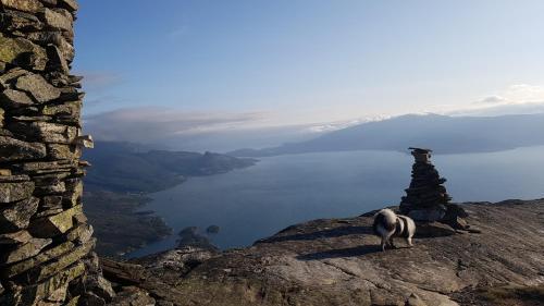 Funkis-cabin in Herand with fantastic fjordview