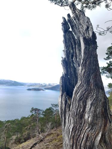 Funkis-cabin in Herand with fantastic fjordview