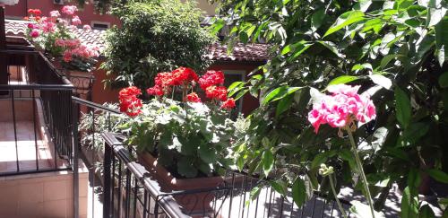 Gioia Bed and Breakfast - image 6