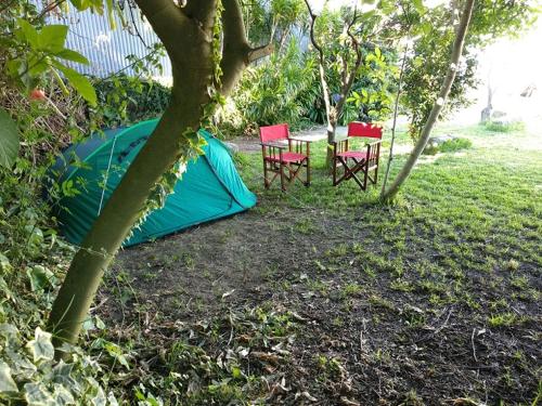 AirPorto Hostel – Moreira, OH