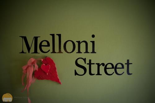  B&B MELLONI STREET, Pension in Dolo