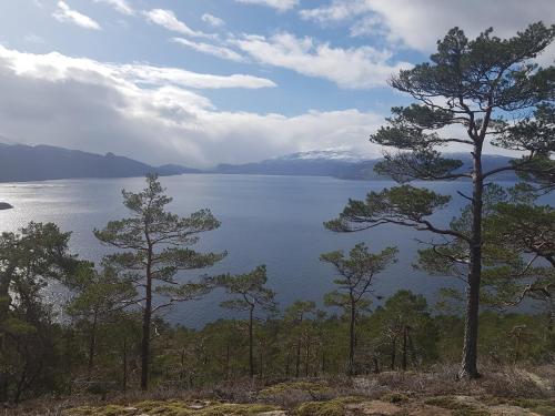 Omgivelser, Hardanger Fjordtun TREETOPCABIN, nature, birds, silence, fjord and many nice hikes nearby in Ytrebygda