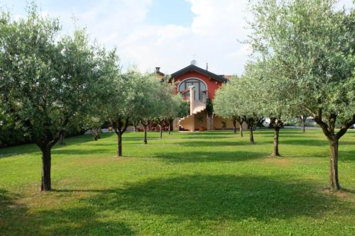 B&B agli Ulivi 4