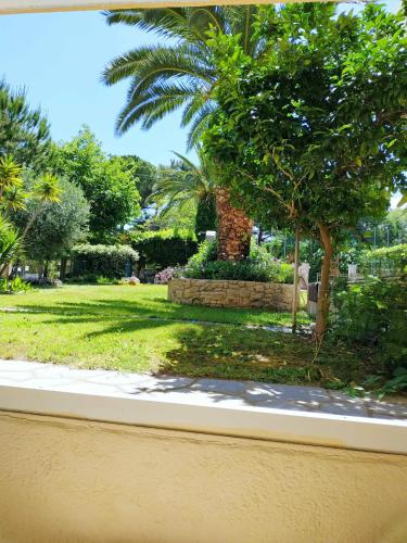 Asteras hotel Room Type - Semi-basement Studio with Garden View