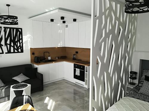 Apartament Wrocław Centrum Dorzecze Legnickiej