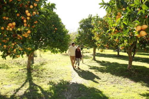 Herdade da Matinha Country House & Restaurant