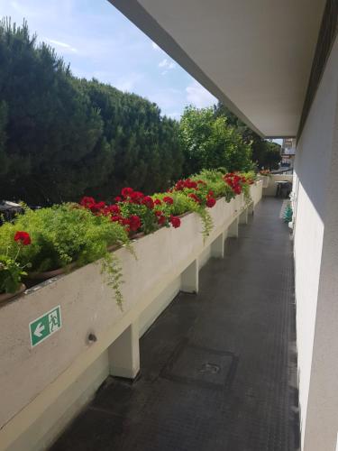  Residence Carducci in Cesenatico