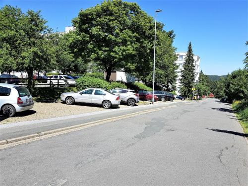 Großdorf Appartement En Vogue im Hahnenklee, Harz