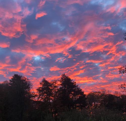 Silverwood Luxury Lodges & Bistro Barn - image 12