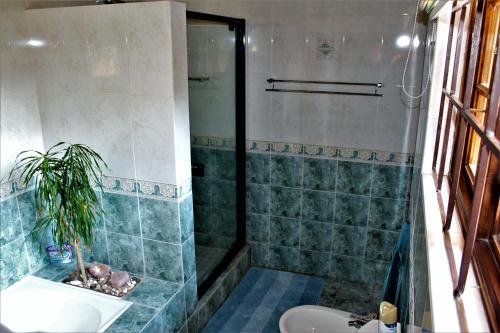 Villa Stella Room Type - Queen Suite with Pool View