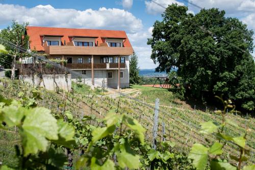 Weingut Assigal