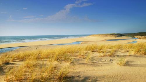 Ohana Lodge Landes