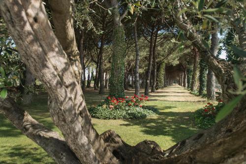 Hotel El Molí - image 4