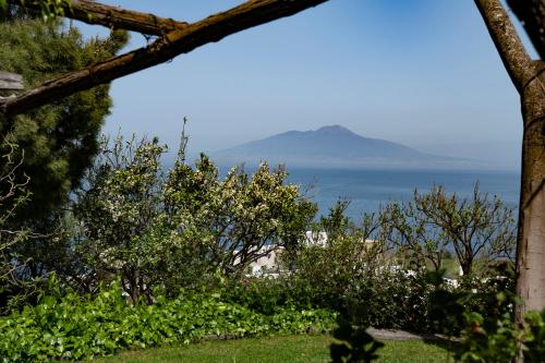 CAPRI TIBERIO'S DREAM