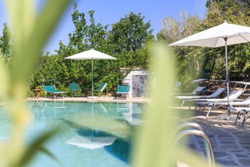 Úszómedence, Domaine du Clos d'Alari-chambres d'hotes au milieu des vignes in Saint-Antonin-du-Var