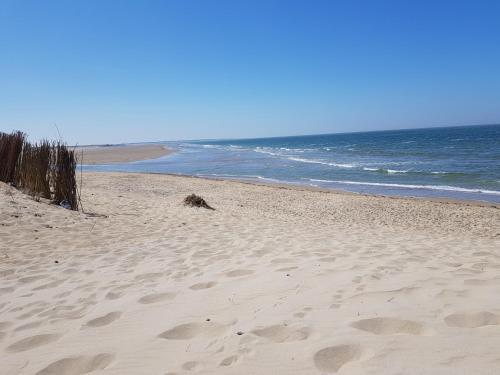  De Kastanje Ouddorp in Ouddorp