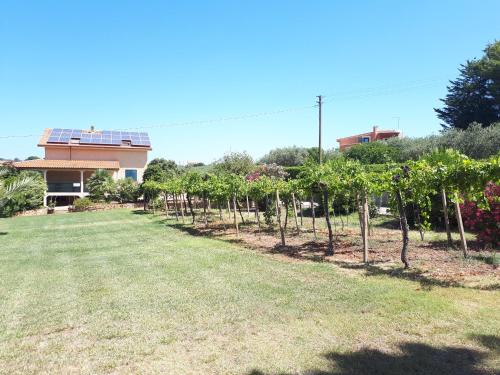 Villa Paradiso
