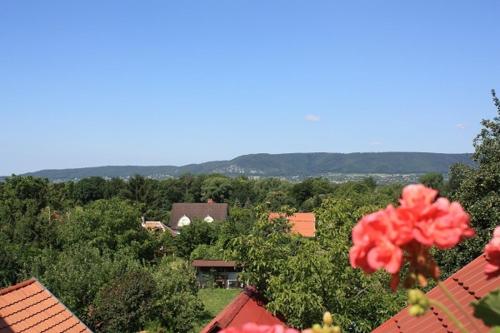 Miklai Ház - main image