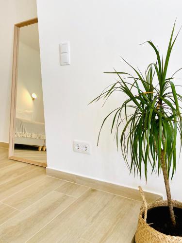Pure Fonte Velha B&B Room Type - Loft