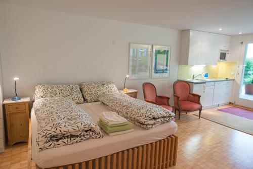 Grava - Ferienwohnung für max. 2 Personen, Laax (fotografie 6)