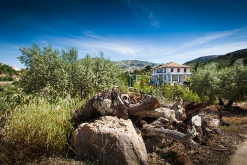 Casa Amparo - Alquiler íntegro con encanto en Alicante