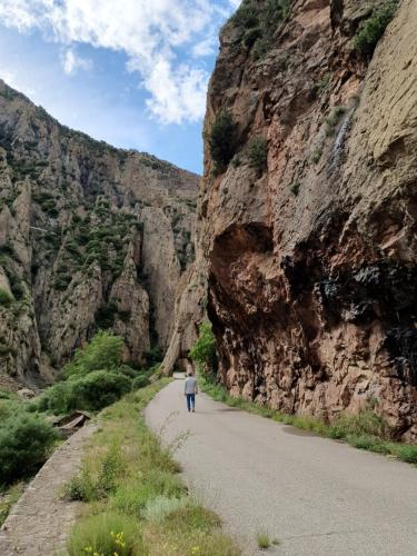 Casa Pase - image 13