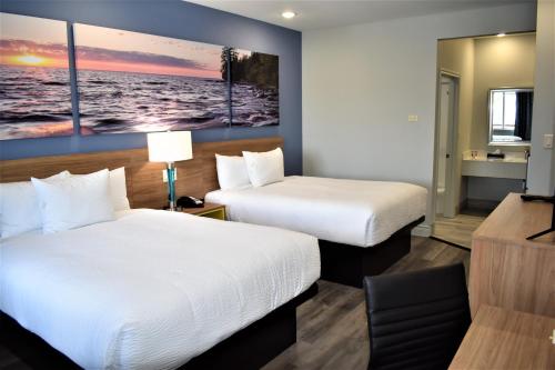 Days Inn & Suites by Wyndham Downtown/University of Houston - image 13