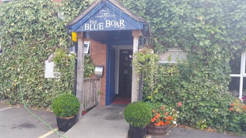 The Blue Boar - image 14