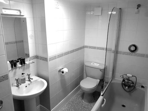 The Blue Boar - image 2