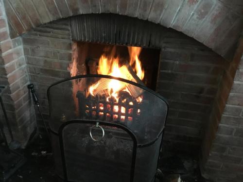 The Blue Boar - image 11