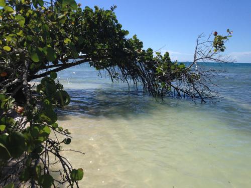 Stunning Sunset View Walking distance to private beach - image 2