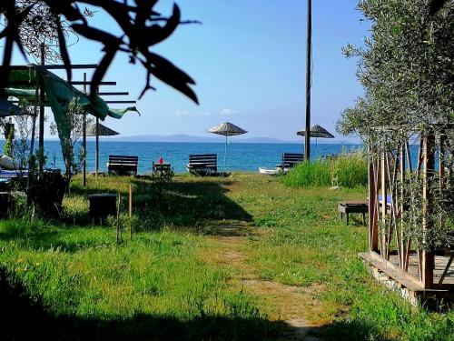 Hotel Oiki BeachCamp in Küçükkuyu