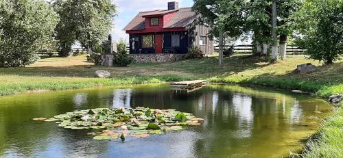 . House in nature