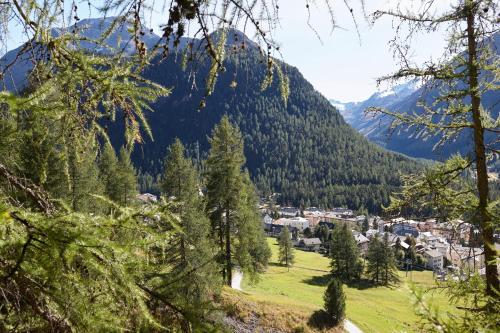 Alpine Lodge Chesa Plattner