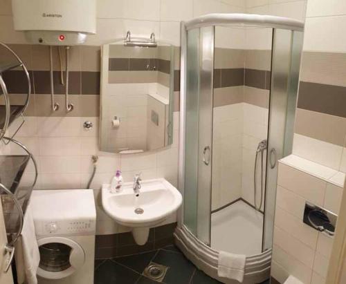 One-Bedroom Apartment image 10