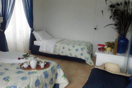 Oasi Madre della Pace – Sorrento, CO