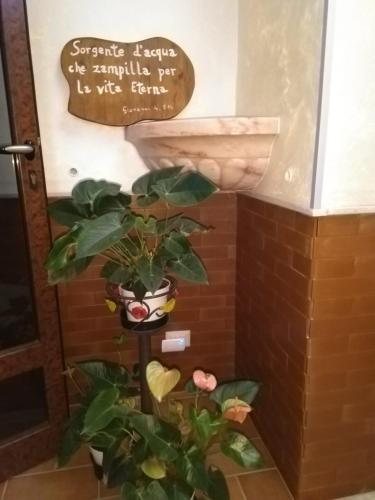 Oasi Madre della Pace – Sorrento, CO