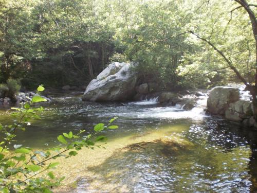 Auberge du Tarnon photo 19